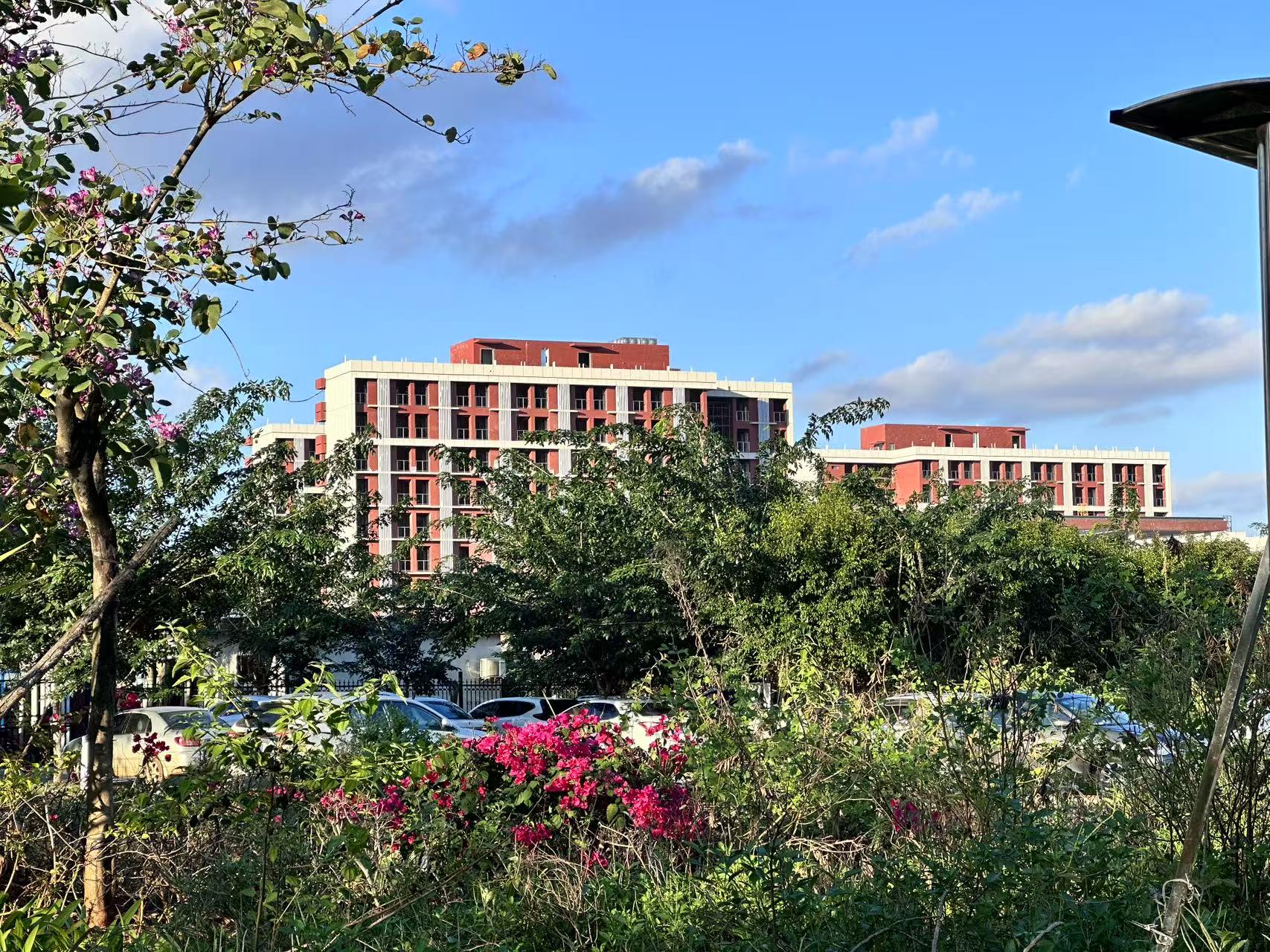 16b665421fd0a76ff4fc6391f0e0c50